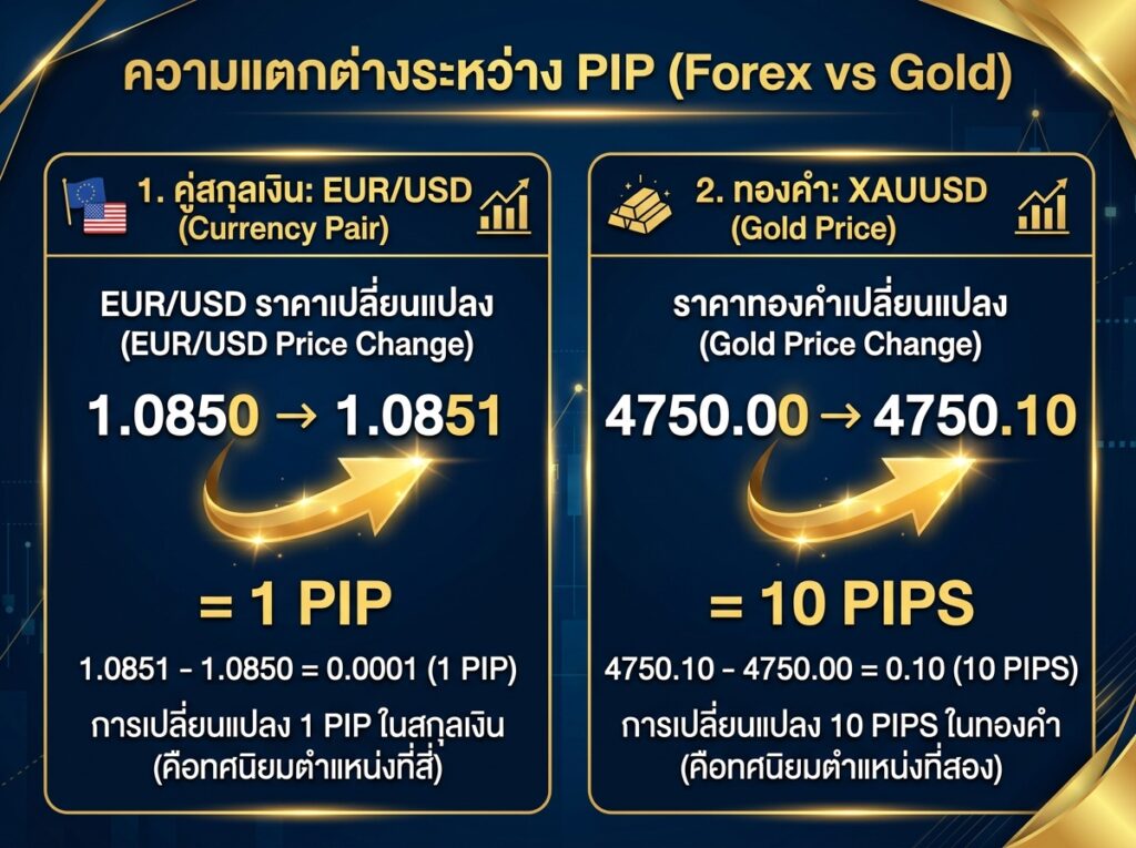 Pip คืออะไร อธิบายด้วยตัวอย่าง EUR/USD และทอง