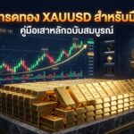 เทรดทอง XAUUSD ฉบับมือใหม่ คู่มือ Pillar